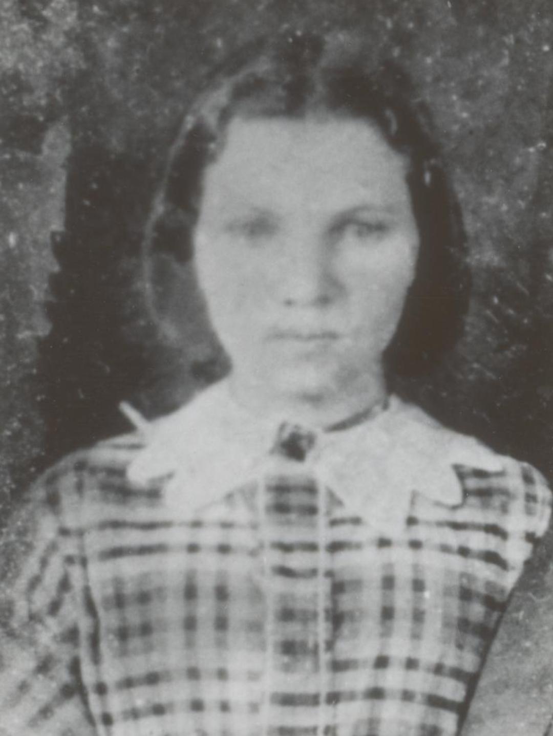 Anna Maria Sabin (1846 - 1895) Profile
